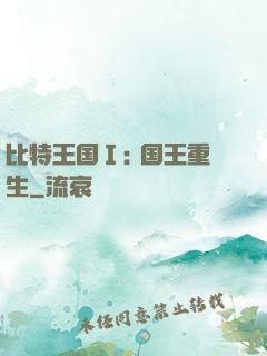 比特王国Ⅰ: 国王重生